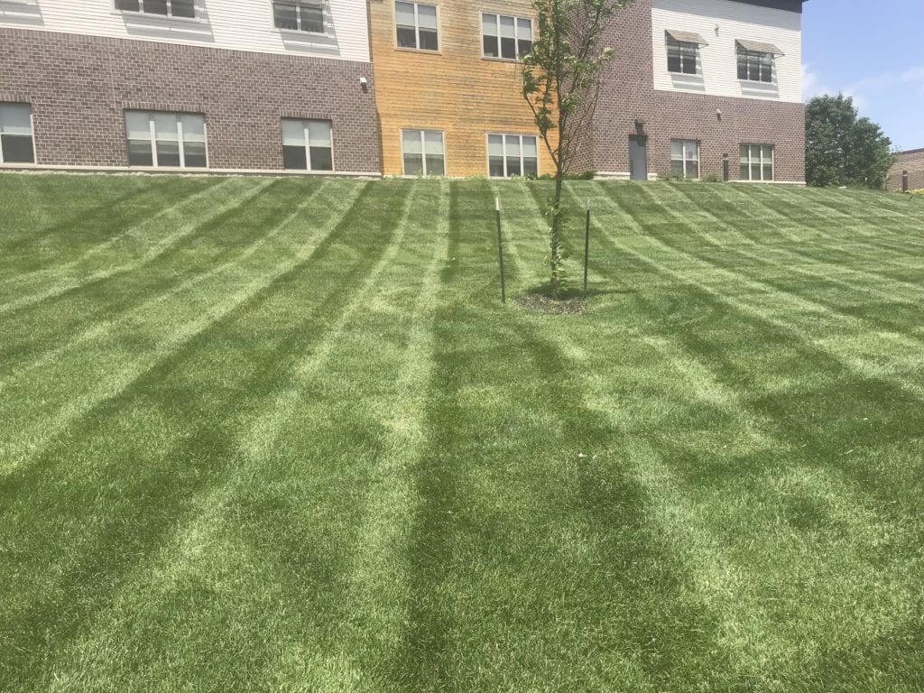 Commercial lawn mowing