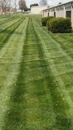 Commercial lawn care