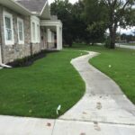 How To – Lawn Renovation via Aeration & Verticutting